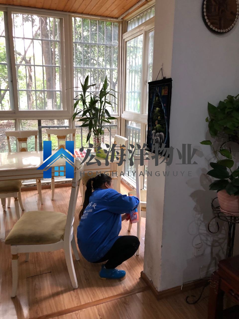 澳六宝典